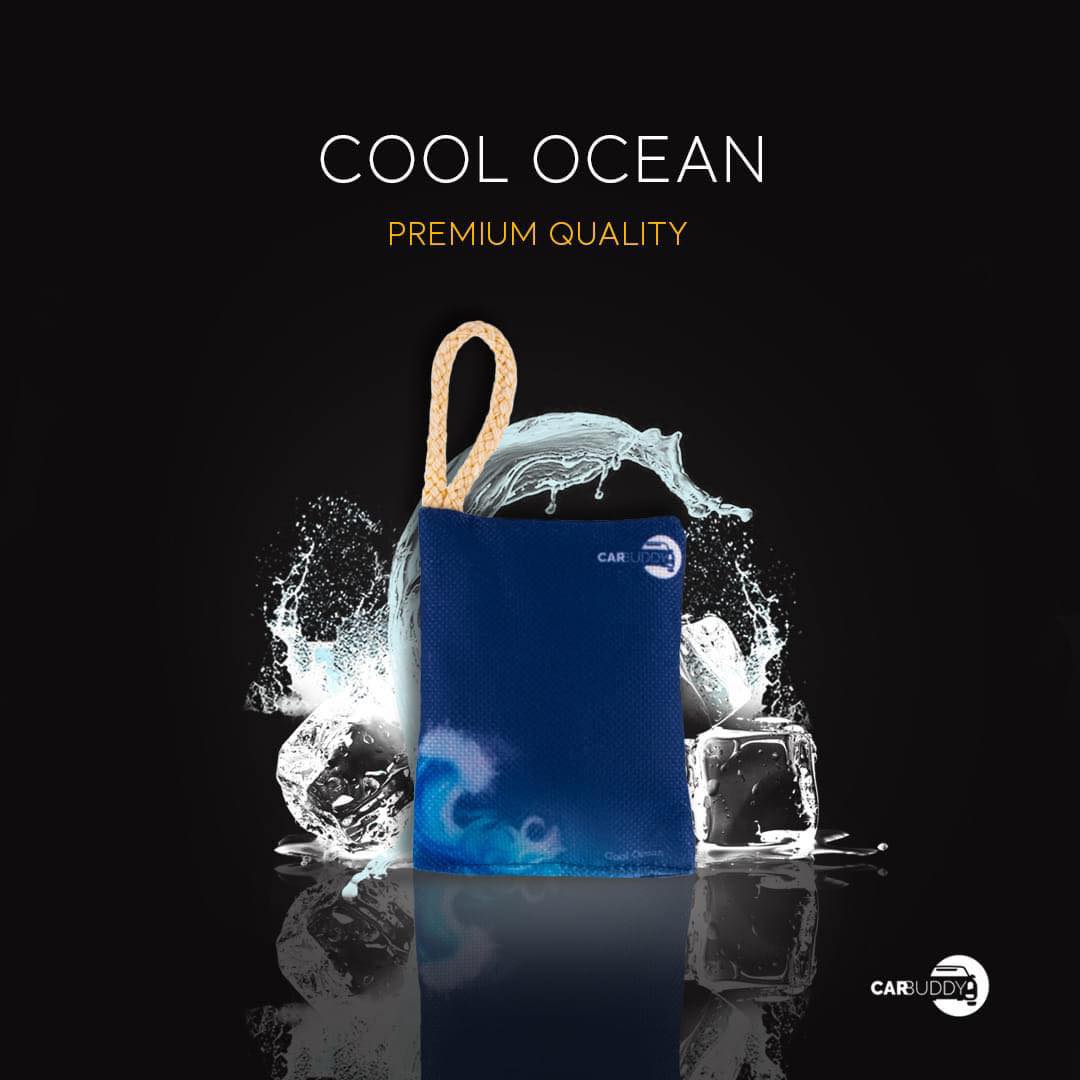 Car Buddy Charcoal Air Purifier And Deodorizer | Cool Ocean